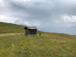 Przyroda w pobliżu tego gospodarstwa agroturystycznego
