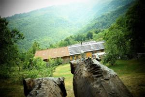 una casa in mezzo a un campo con una montagna di Ca-Jo Bed and Breakfast a Garessio