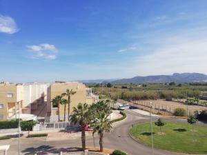 a view of a street with palm trees and buildings at Mediterránea Solo Familias Serviplaya in Playa de Xeraco