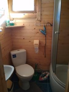 a small bathroom with a toilet and a sink at Na Horbyku in Tatariv