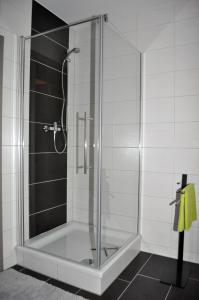 a shower with a glass door in a bathroom at Gästehaus Am Wald Oschersleben in Oschersleben