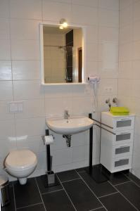 een badkamer met een wastafel, een toilet en een spiegel bij Gästehaus Am Wald Oschersleben in Oschersleben