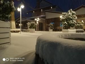 Oasi during the winter