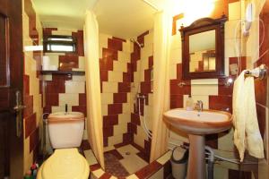 a bathroom with a toilet and a sink at Cabana Ana in Cavnic