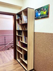 ein Bücherregal mit einem Spiegel in einem Zimmer in der Unterkunft Hostel Gulliver in Uschhorod