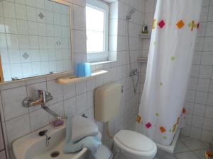 y baño con aseo, lavamanos y cortina de ducha. en Apartmani Vjera en Ribarica