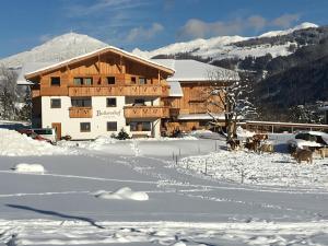 a large wooden building with snow on the ground at Buttererhof-Apartments in Fulpmes