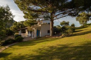 a white house on a hill with a tree at Casa Casciu La collina sul mare in Costa Rei