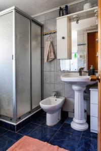 Un baño con lavabo, inodoro y ducha. en Refugio Guanay, en Constitución