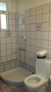 La salle de bains est pourvue d'une douche, de toilettes et d'une baignoire. dans l'établissement Tzoumerka, à Ktistádes