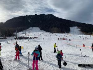 un grupo de personas esquiando en una pista de esquí en Apartment MEGI, en Kranjska Gora