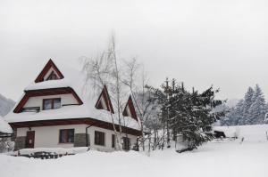 Apartamenty JSZI v zime