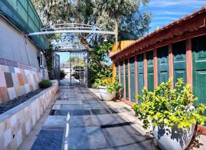 A garden outside Container Luxury House