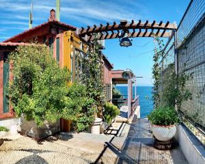 A garden outside Container Luxury House