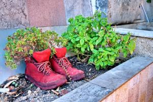 A garden outside Container Luxury House