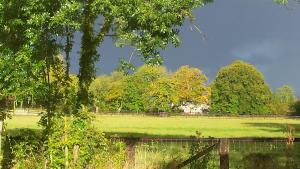 ein Feld mit einem Zaun und Bäumen im Hintergrund in der Unterkunft Gîtes de la maison du haras in Beuvron-en-Auge