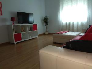 sala de estar con sofá y TV de pantalla plana en Hostal Caminito, en La Bañeza