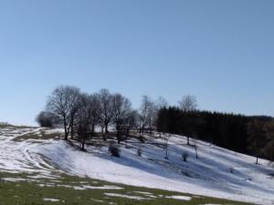 Vaux-sur-SûreにあるOh deer!の雪に覆われた丘