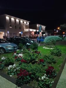 Zahrada ubytování Hotel Del Golfo