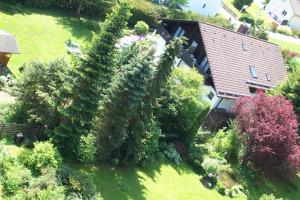 an overhead view of a house with a large bush at Hotel Grünes Paradies- Garni in Hochwaldhausen