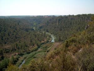 vista su un fiume nel mezzo di una foresta di Casa Rural Parajes del Júcar a Casas de Benítez