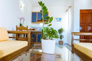 a living room with a couch and a potted plant at Anais Collection Hotels & Suites in Kato Daratso