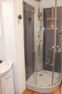 una doccia con una porta in vetro in un bagno di Au ruisseau de Belle Isle a Echinghen