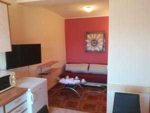 sala de estar con sofá y TV en Apartment Antonela en Šibenik