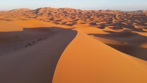 Gallery image of Merzouga-Bivouac-Excursion And Hosting in Merzouga