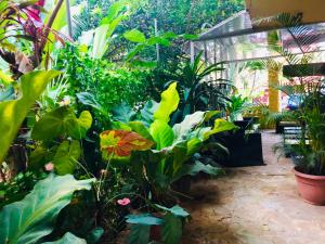 Giardino di Hotel Aurora