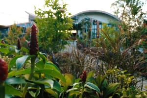 Ein Garten an der Unterkunft Le Pes Villas