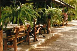 Ein Garten an der Unterkunft Le Pes Villas