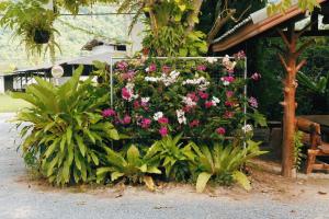 Ein Garten an der Unterkunft Le Pes Villas