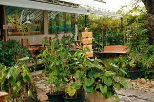 Ein Garten an der Unterkunft Le Pes Villas