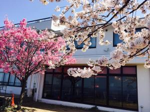 uma árvore com flores cor-de-rosa em frente a um edifício em Hotel Bokaiso em Takamatsu