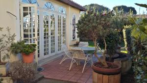 a patio with a table and chairs and plants at Hotel Quadrifoglio by Mancini in Rome