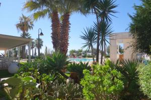 un complejo con palmeras y piscina en Case Vacanze Bellavista, en Realmonte