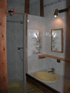 uma casa de banho com um lavatório e um chuveiro em Auberge La Cleida em Névache