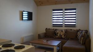 Area soggiorno di Rondović Apartmani - Durmitor