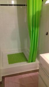 a bathroom with a shower with a green shower curtain at gîte vacances in Moncontour