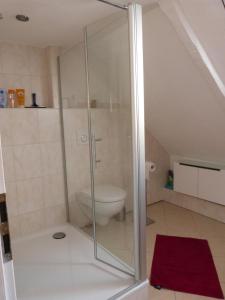 Un baño con ducha de cristal con inodoro. en Ferienhaus am Dom, en Schleswig