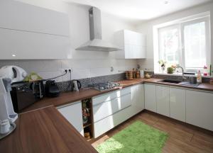 a kitchen with white cabinets and a green rug at Apartment KOPA L in Vyhne