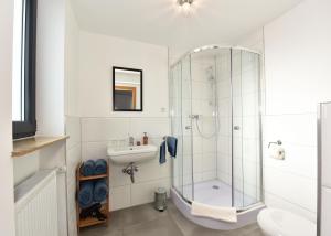 ein Bad mit einer Dusche und einem Waschbecken in der Unterkunft 1a Gästehaus am Hafen in Nürnberg