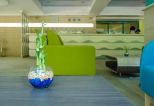 un jarrón con una planta en una mesa en Hotel Boryana, en Albena