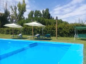 a blue swimming pool with two umbrellas and two benches at Cabañas Arcoiris in San Rafael