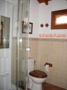a bathroom with a toilet with a glass shower at CASA LA MOLINETA in Arafo