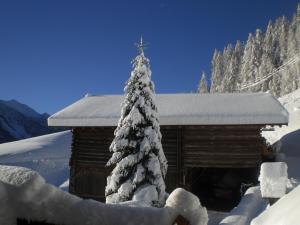 Chalet Niederhaushof during the winter