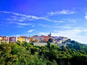 a city on top of a hill with houses at Studio Apartment Nature in Ravni