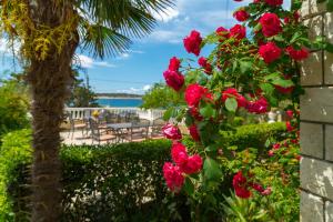 a bush with red flowers next to a palm tree at Captain's Club in Rab