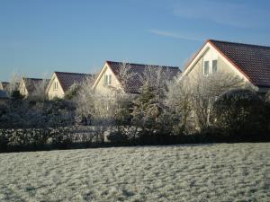 eine Gruppe von Häusern in einem Hof mit einem Feld in der Unterkunft Noordwijk Holiday Rentals in Noordwijk